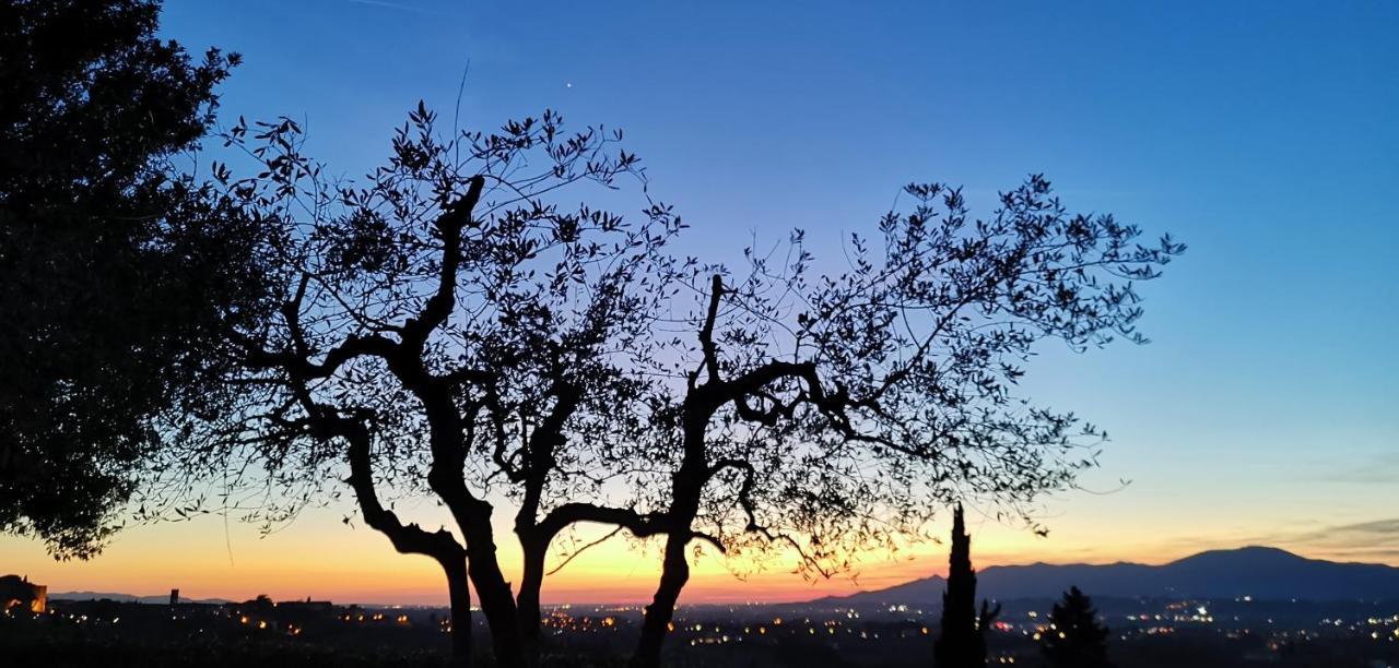 Agriturismo Cascina Cipressa San Romano  Экстерьер фото