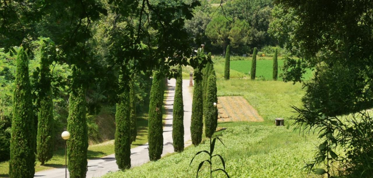 Agriturismo Cascina Cipressa San Romano  Экстерьер фото