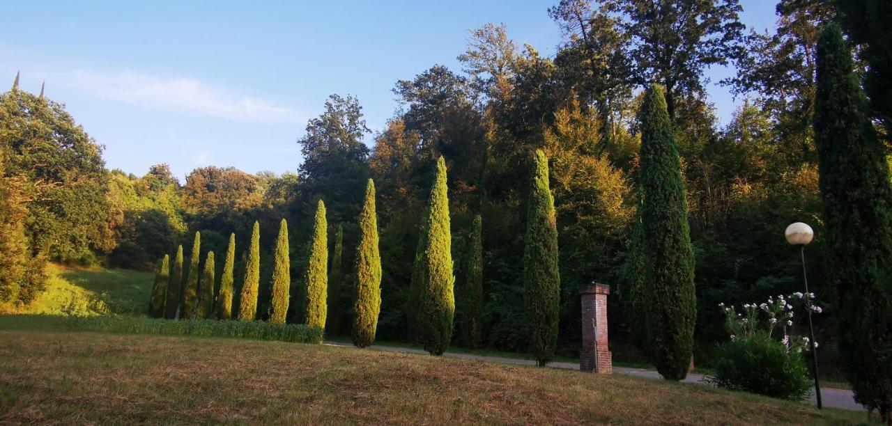 Agriturismo Cascina Cipressa San Romano  Экстерьер фото