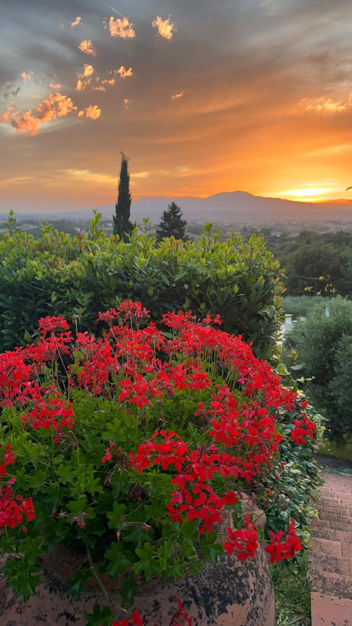 Agriturismo Cascina Cipressa San Romano  Экстерьер фото