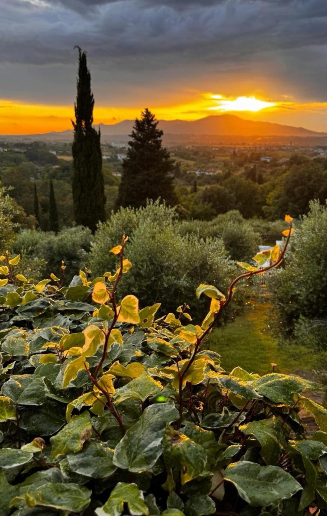 Agriturismo Cascina Cipressa San Romano  Экстерьер фото