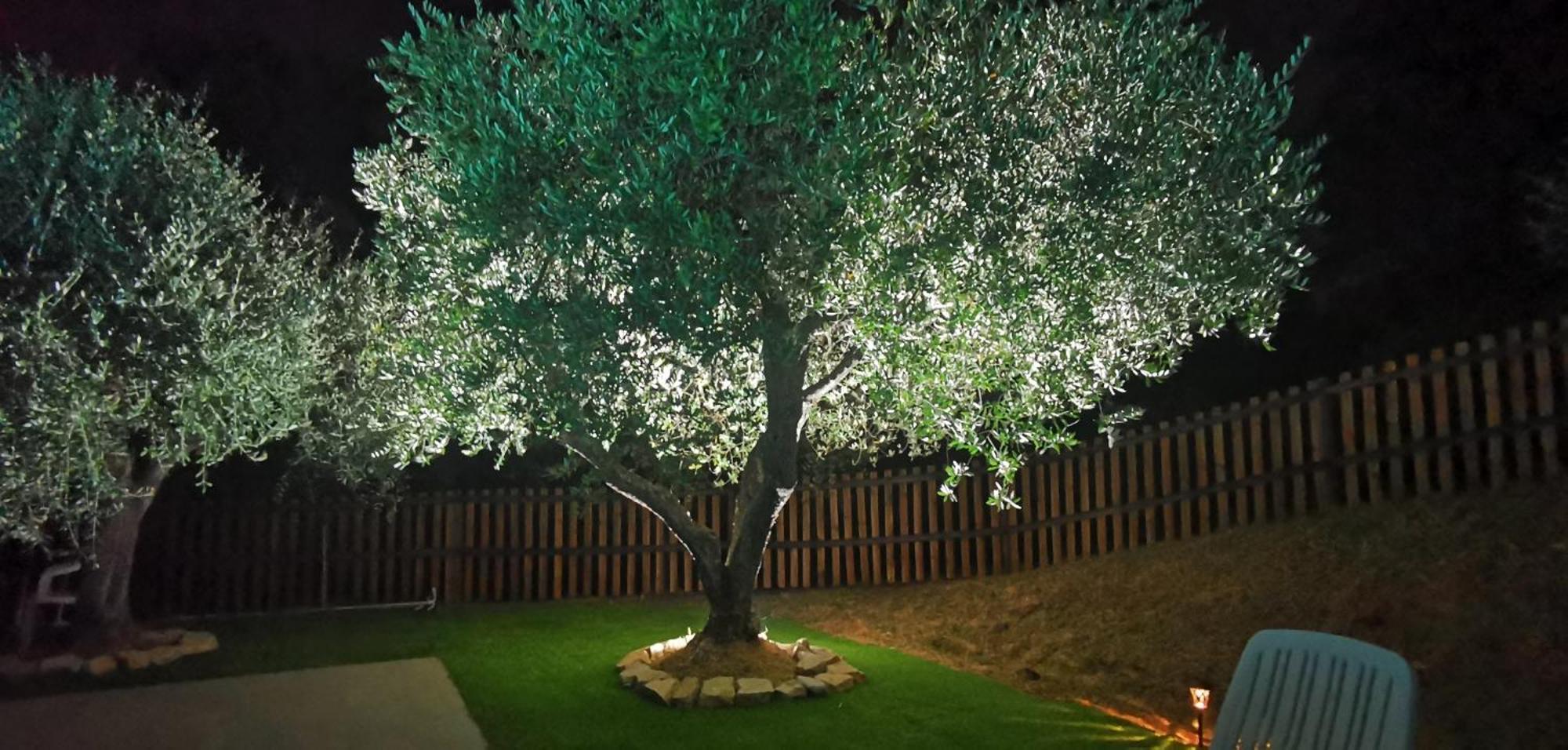 Agriturismo Cascina Cipressa San Romano  Экстерьер фото