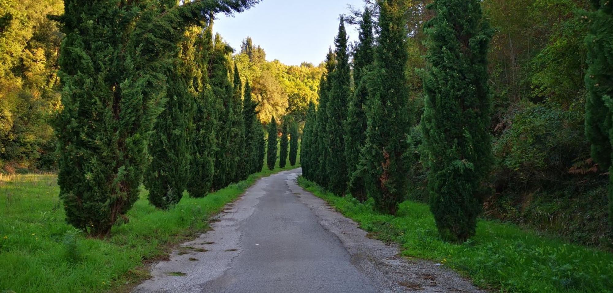 Agriturismo Cascina Cipressa San Romano  Экстерьер фото